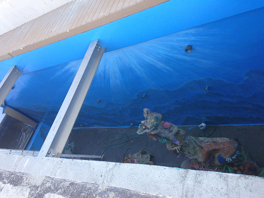 guy harvey resort custom mural aquarium tanked tv show