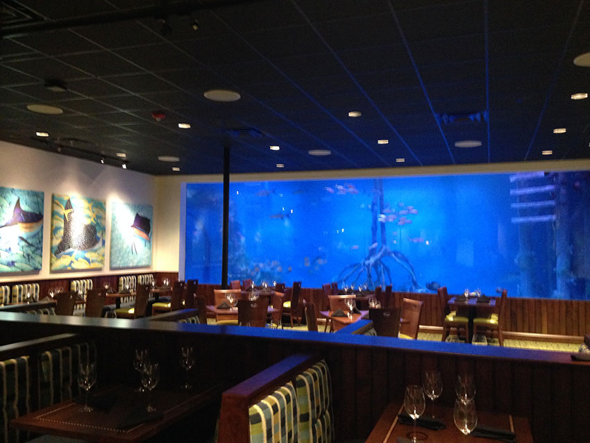 guy harvey resort custom mural aquarium tanked tv show